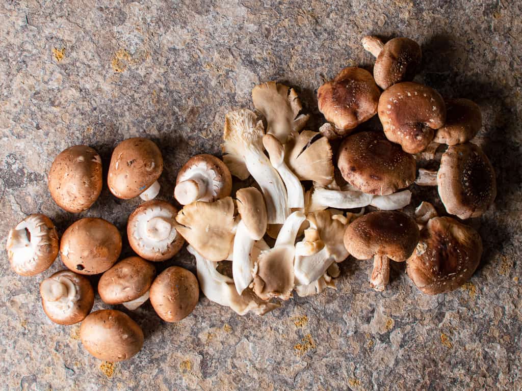 Shitake, Oyster, and cremini mushrooms on a stone background