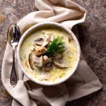 single bowl of creamy chicken and mushroom soup with dill on stone background with spoon