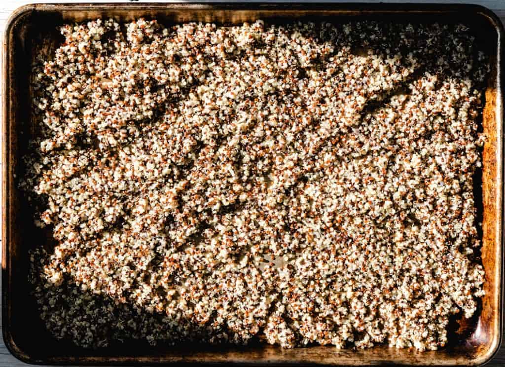 Tray of cooked quinoa