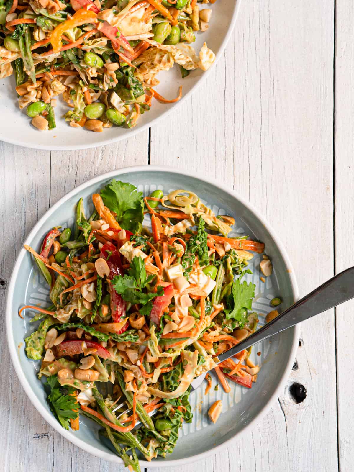 One plate of thai slaw with the serving platter on the side.