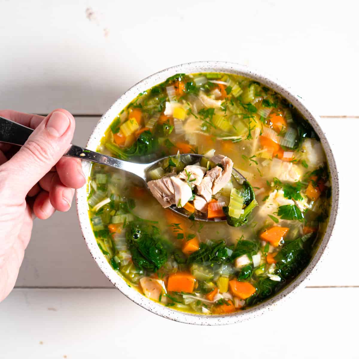 Hearty Turkey & Vegetable Soup • My Pocket Kitchen