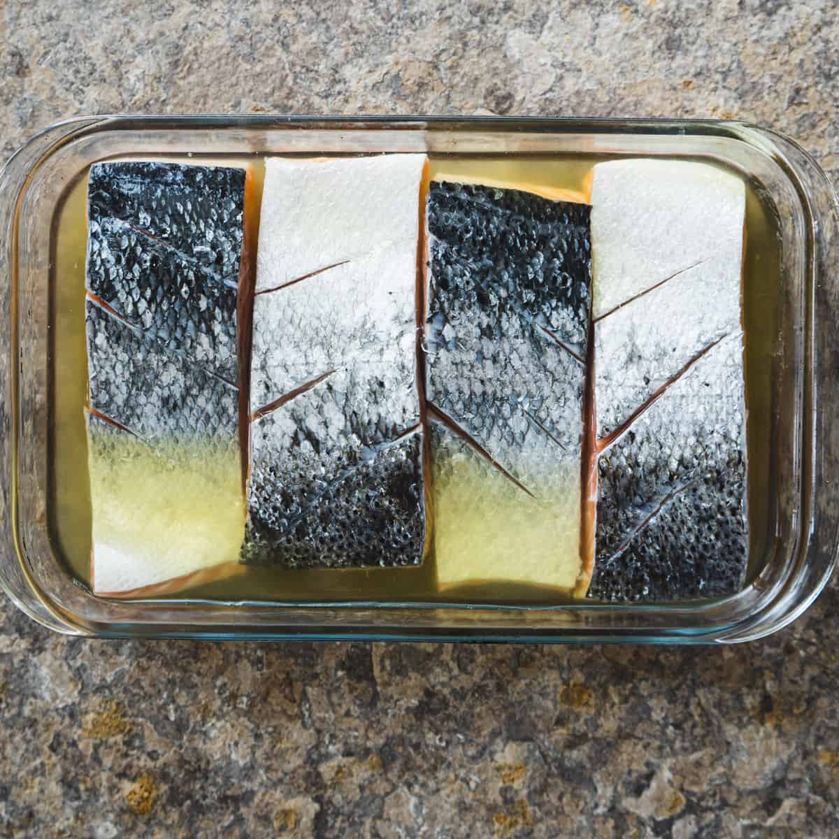 Salmon filets in pickle brine showing scores in the skin