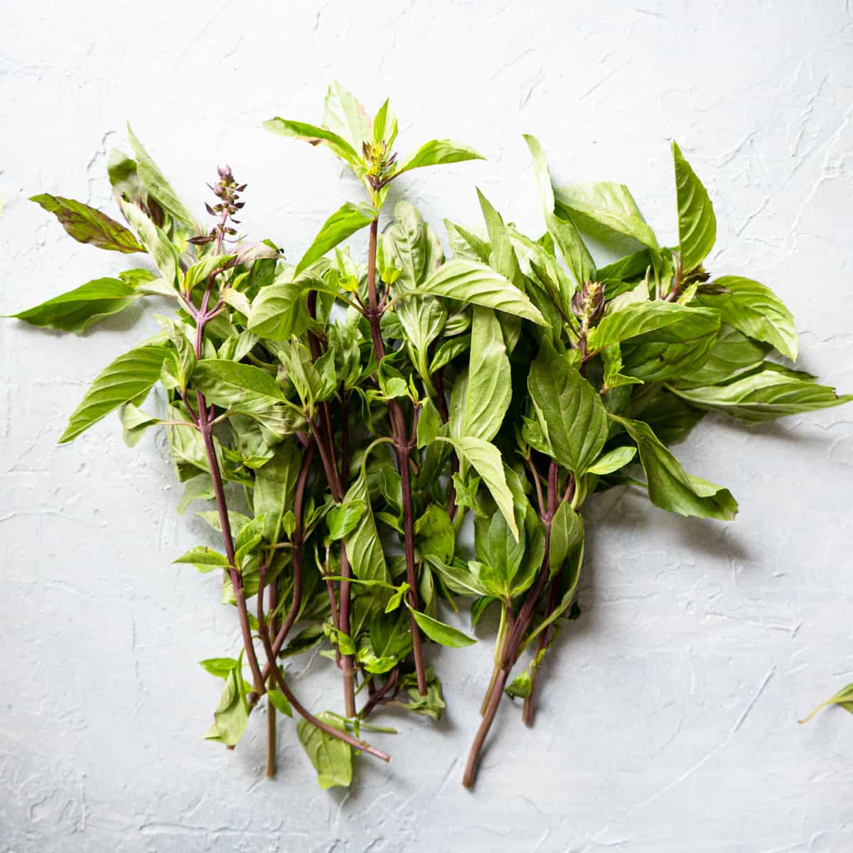 a bunch of fresh Thai basil