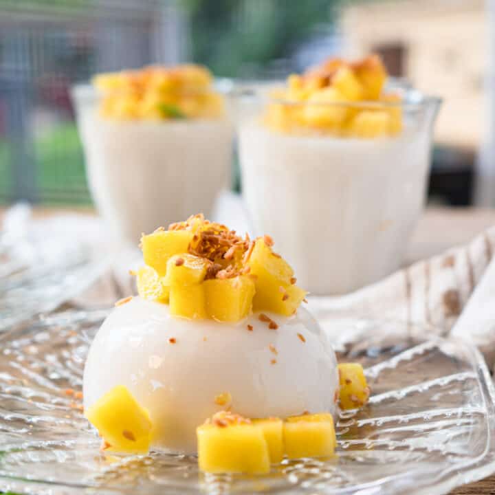 Coconut Panna Cotta Dairy Free • My Pocket Kitchen