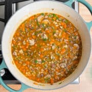 Mushroom Barley Soup • My Pocket Kitchen