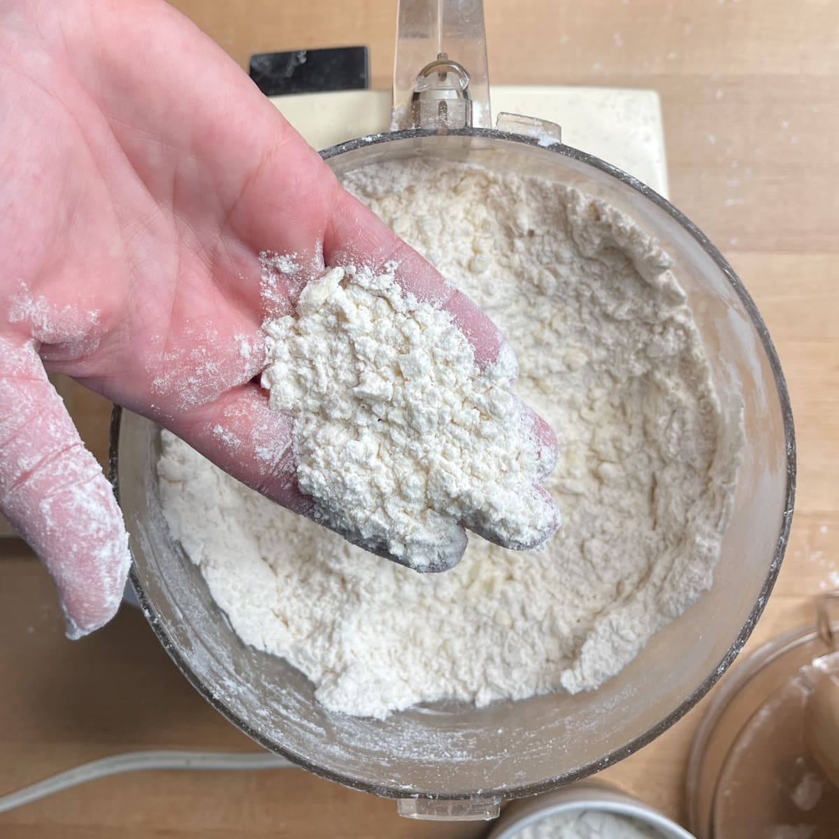 butter mixed into flour in the bowl of a food processor. 
