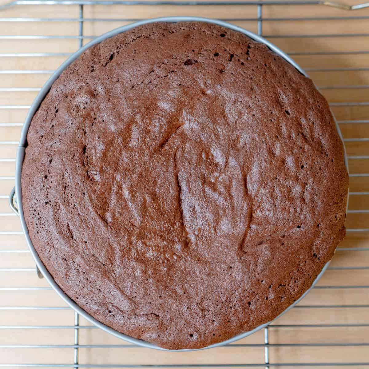 chocolate souffle cake cooling in the pan on a wire cooling rack.